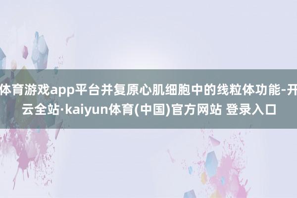 体育游戏app平台并复原心肌细胞中的线粒体功能-开云全站·kaiyun体育(中国)官方网站 登录入口