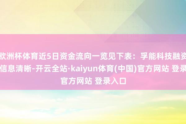 欧洲杯体育近5日资金流向一览见下表：孚能科技融资融券信息清晰-开云全站·kaiyun体育(中国)官方网站 登录入口