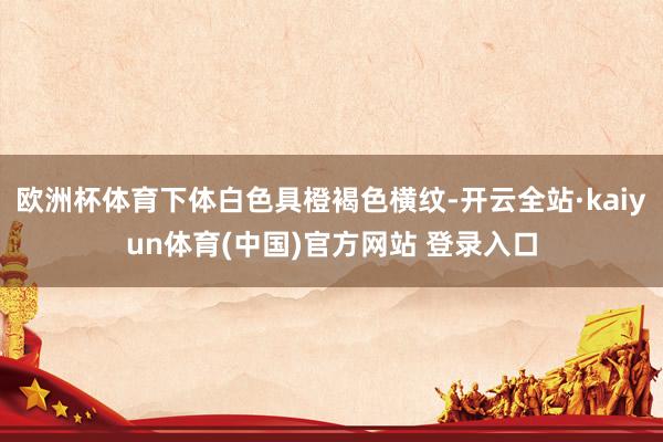 欧洲杯体育下体白色具橙褐色横纹-开云全站·kaiyun体育(中国)官方网站 登录入口
