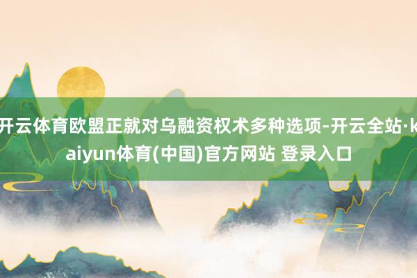 开云体育欧盟正就对乌融资权术多种选项-开云全站·kaiyun体育(中国)官方网站 登录入口